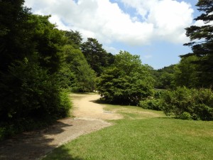 20150621六甲山森林植物園 (43)